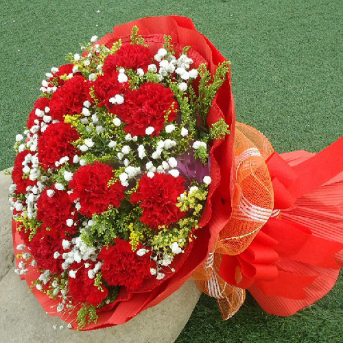 中秋节鲜花推荐，19支红色康乃馨，搭配满天星和黄英