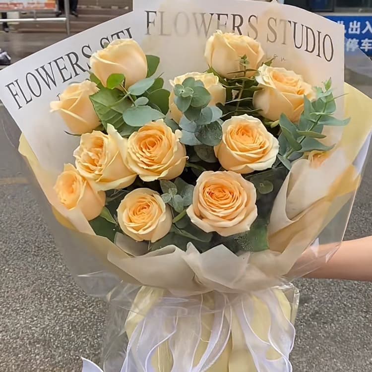 11朵香槟玫瑰20款