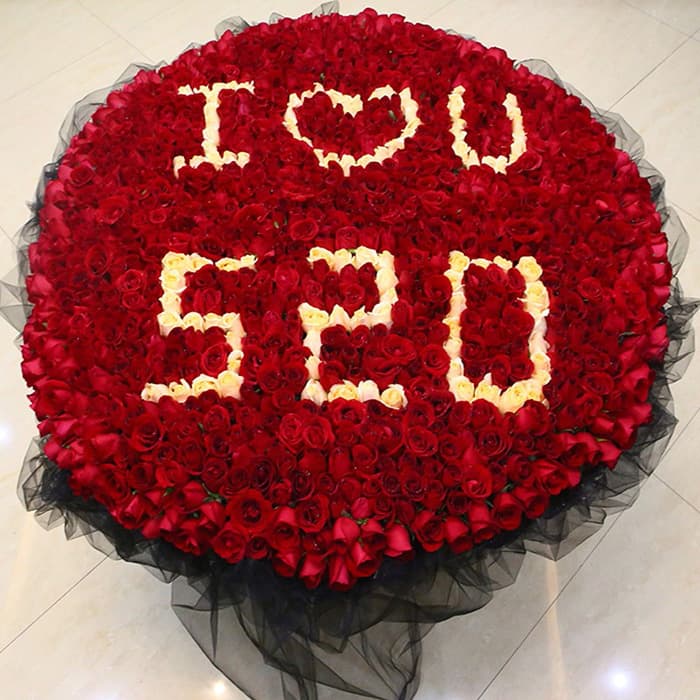 520