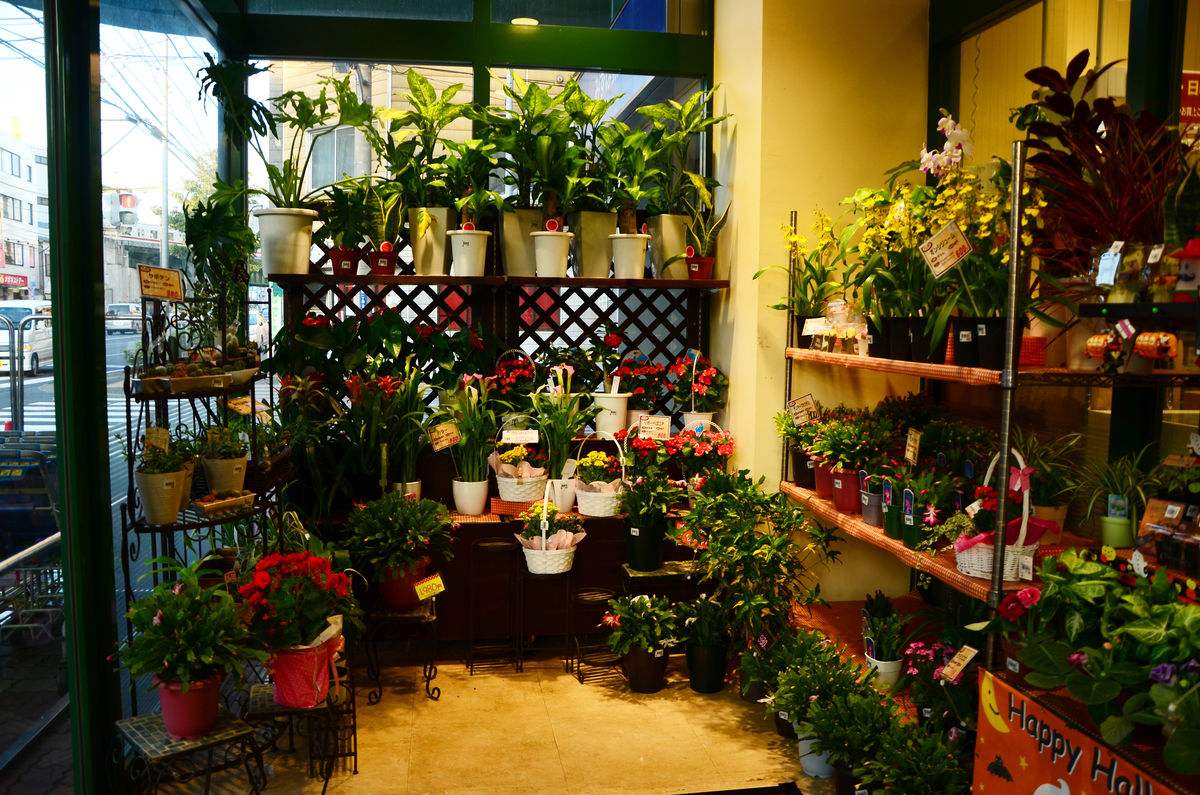 均記花店 Kwan Kee Flower Shop | 香港花店资讯网