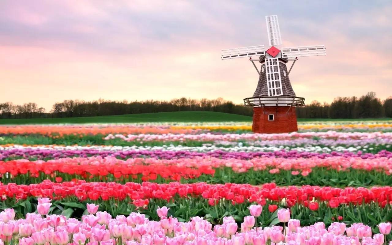 壁纸 荷兰，河流，风车，草地，风景秀丽 1920x1080 Full HD 2K 高清壁纸, 图片, 照片